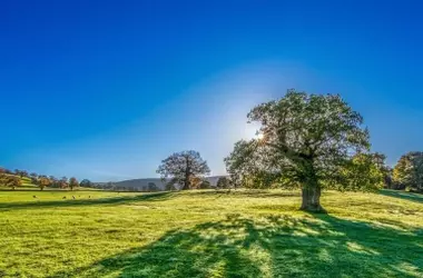 España ante un inminente aumento de temperaturas que superarán los 38 grados este viernes