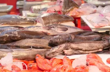 Bisfenoles en Envases Alimentarios: Un Hallazgo Clave Exige Medidas Urgentes