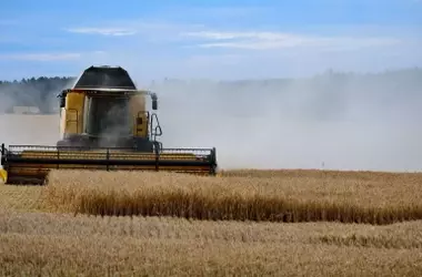 La Bioeconomía Circular: Transformando Residuos en Oportunidades para el Campo y la Industria