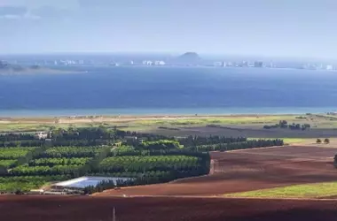 Un Nuevo Estudio Revela Cómo el Abandono de Cultivos Podría Aumentar la Contaminación del Mar Menor
