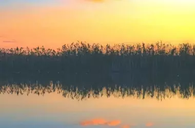 WWF Advierte sobre el Acuífero de Doñana: No es Momento de Levantar Restricciones de Riego