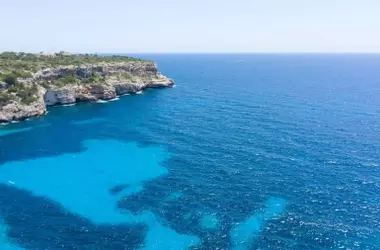 Baleares Intensifica la Vigilancia para Proteger las Praderas de Posidonia con 20 Embarcaciones y Tecnología Avanzada
