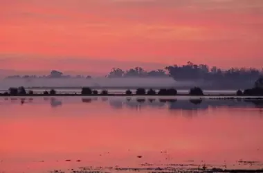 El Agua Esencial de Doñana: Un Vínculo Atmosférico Clave para la Supervivencia del Ecosistema sin Lluvias