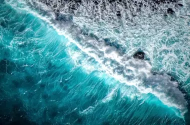 Canadá y la Unión Europea Forjan una Estrategia Unida para la Salvaguarda Oceánica