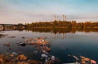 Bacterias microscópicas: Aliadas clave en la lucha contra la contaminación y la creación de bioplásticos