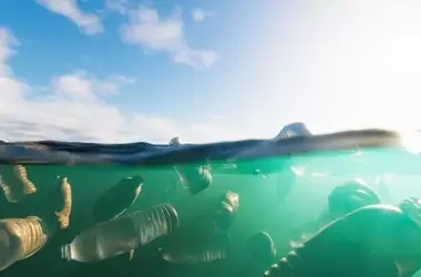 La Fundación Ecoalf y pescadores logran retirar 2.1 millones de kilos de residuos marinos
