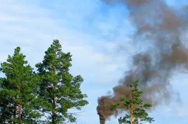 Galicia: Una Innovadora Aplicación Móvil Impulsa la Detección Temprana de Incendios Forestales