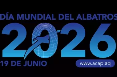Día Mundial del Albatros 2026: Una Alerta Global por la Supervivencia del Ave Marina Majestuosa