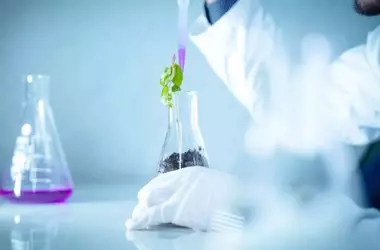 Revelan Nuevas Amenazas Microbianas para la Biodiversidad y la Agricultura Global