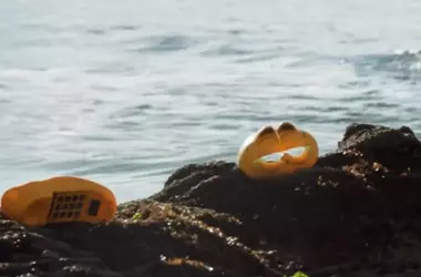 Garfield Plástico: Un Documental que Revela la Contaminación Marina