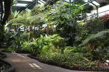 La Estufa Fría de Cáceres: Un Debate Crucial para la Conservación Botánica