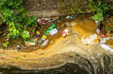 El crimen ambiental: un negocio global en auge que alarma a las autoridades