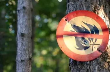 Baleares Intensifica las Medidas Preventivas contra Incendios Forestales Ante el Verano de Riesgo Extremo