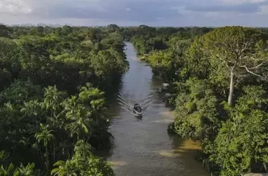 Bosques tropicales: Al borde del deterioro, pero con esperanza de recuperación