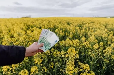 España Invertirá Millones en Biodiversidad para una Protección Ecológica y Ciudadana Mejorada