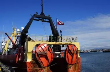 Islandia Reinicia la Caza de Ballenas en Medio de Protestas y Propuestas de Prohibición