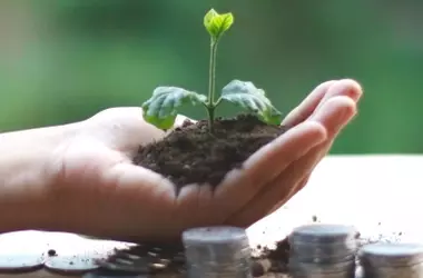 La Unión Europea Refuerza la Transparencia en Finanzas Sostenibles y Combate el Ecoblanqueo