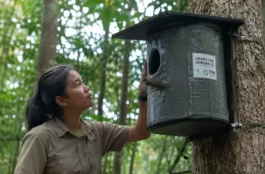Joven Tailandesa Gana Prestigioso Premio por Nidos Innovadores para Aves Amenazadas con Plástico Reciclado
