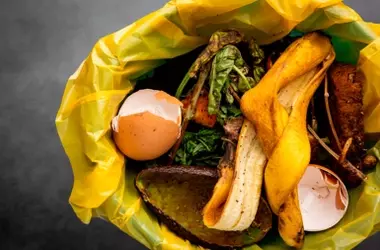 El País Vasco Avanza en la Reducción del Desperdicio Alimentario con Notable Disminución en Hogares e Industria
