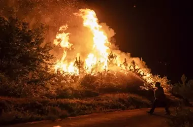 ADEGA Denuncia la Inacción en la Restauración de los Montes Gallegos Post-Incendios