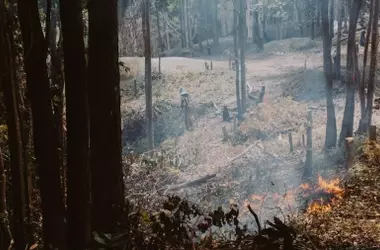 Incendios Extremos de 2025: Un Punto de Inflexión Climático en la Península Ibérica