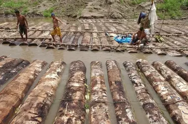 La degradación ambiental: ¿El nuevo catalizador de crisis financieras?