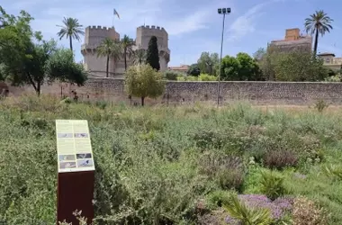 Un Oasis Urbano en Valencia: El Jardín de Polinizadores Transforma el Río Turia