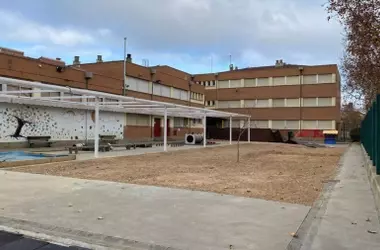 Zaragoza Transforma sus Patios Escolares en Oasis Verdes: Una Inversión Anual de 250.000 Euros para Combatir el Calor Extremo