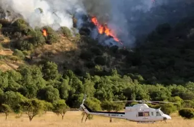 Greenpeace insta a un acuerdo ibérico para la prevención de incendios forestales