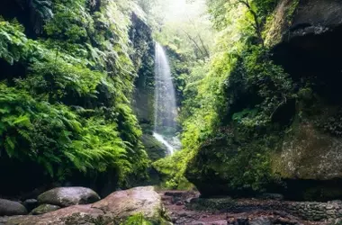 La Palma Conmemora la Semana de la Biosfera por el Aniversario de Los Tilos