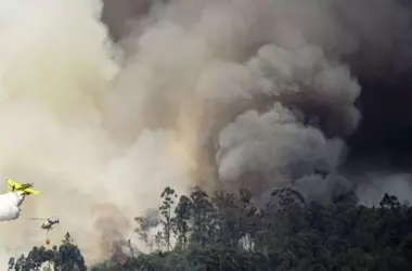 Más de 46.700 Hectáreas Devastadas por Incendios Forestales en España en 2026