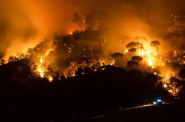 La Unión Europea Refuerza la Lucha Contra Incendios Forestales con Estrategias Novedosas