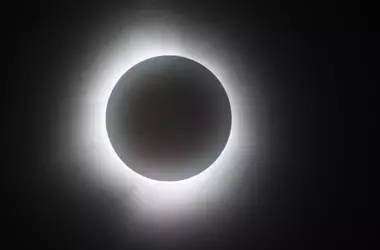 Impacto de los Eclipses en la Conducta Animal y la Contaminación Lumínica