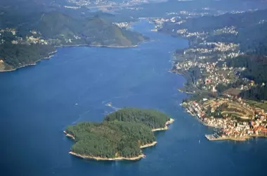 Descubrimiento de Nueva Especie de Hongo en la Isla de Cortegada: Un Tesoro de Biodiversidad Fúngica