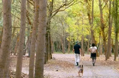 ANSAR Solicita el Fortalecimiento de la Unidad Verde de Zaragoza para Proteger el Entorno Natural