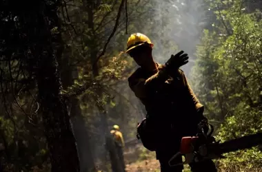 La Desinformación sobre Incendios Forestales Obstruye la Prevención y Aumenta la Polarización