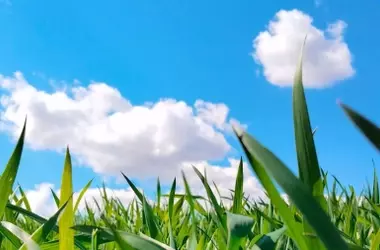 Temperaturas Extremas Azotan España con Picos de 41 Grados