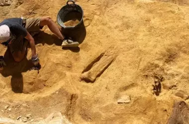 Nuevos Descubrimientos de Dinosaurios en Guadalajara Reconfiguran el Panorama Evolutivo de Europa, Según Estudio de la UCM