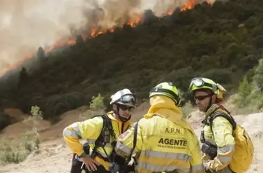 Aragón: Agentes Ambientales Al Límite Frente a Incendios Forestales y Jornadas Extenuantes