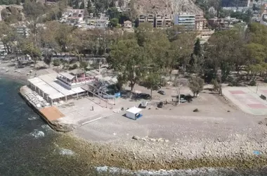 Peligro Crítico: Regeneración de Playa en Baños del Carmen Amenaza a la Patella Ferruginea