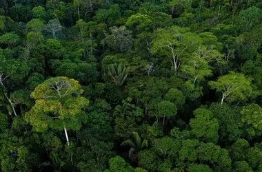Saihanba: Un Ejemplar Escudo Verde contra la Desertificación en China