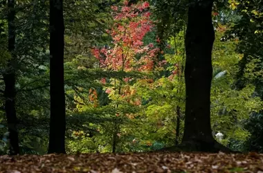 La Visión de los Españoles sobre la Biodiversidad: Un Tesoro Nacional