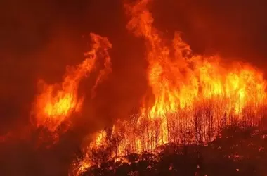 La Mierla: Urge modernizar la lucha contra incendios tras devastación