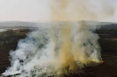Mejorando la Conectividad Forestal para la Fauna Aviar