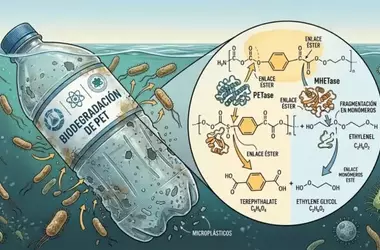 Bacterias devoradoras de plástico: una esperanza para los océanos