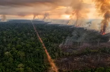 Incendios Forestales en España: Un Análisis Profundo de su Intensificación y Soluciones Integrales