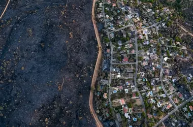 Greenpeace Detalla la Devastación de Incendios Históricos en España