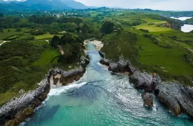 Monitoreo Satelital de Bosques Tropicales: Avances y Limitaciones