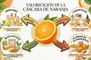 Cáscaras de naranja: un tesoro oculto para la economía circular