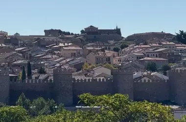 Castilla y León Impulsa Cosecha Temprana para Salvaguardar la Ganadería ante la Escasez de Forraje